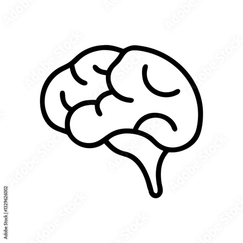 brain