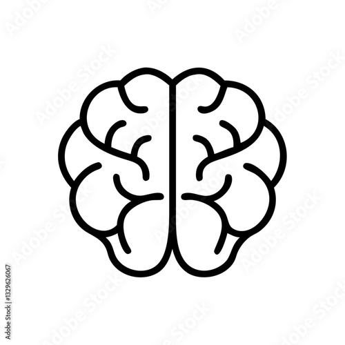 brain