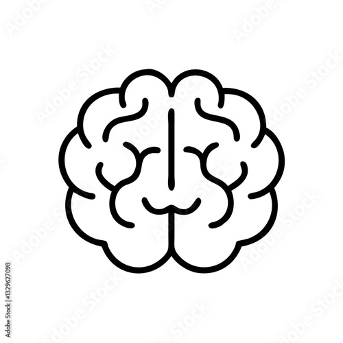 brain