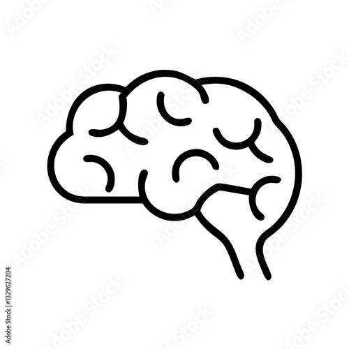 brain