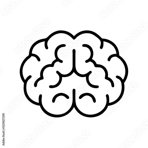 brain