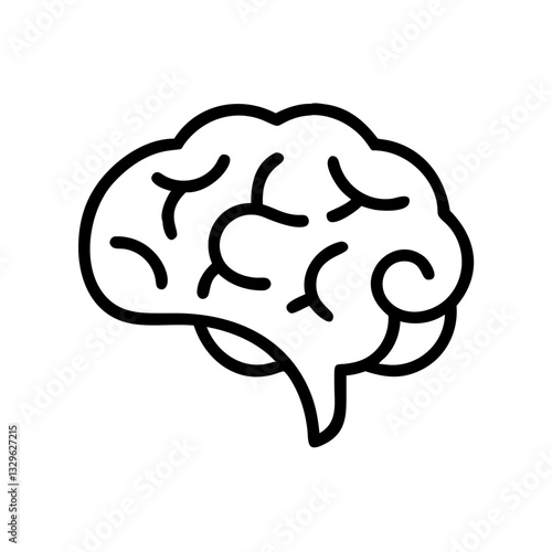 brain