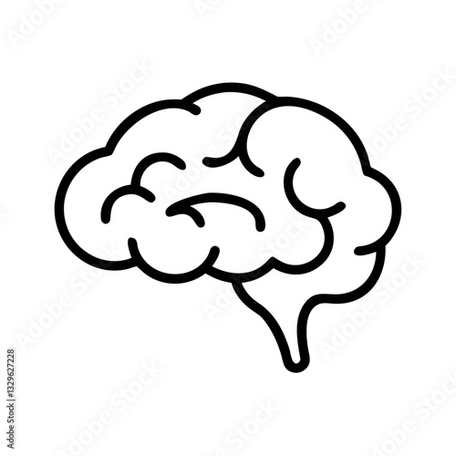 brain