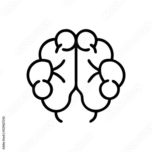brain