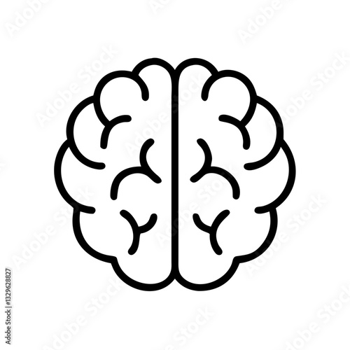 brain