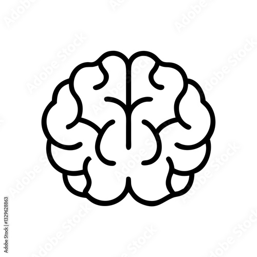 brain