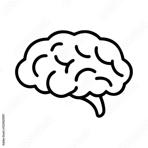 brain