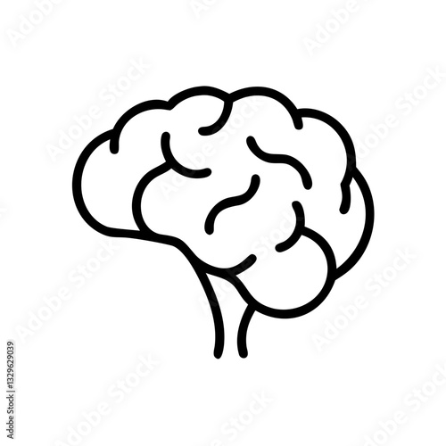 brain