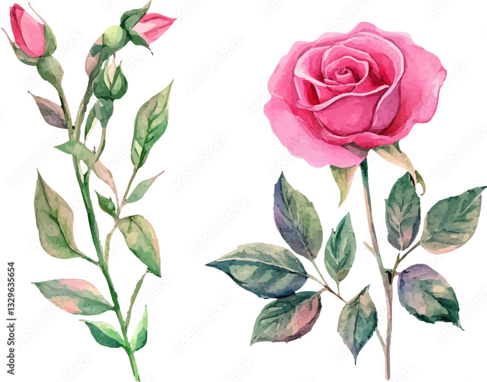 Obraz premium vector illustration of roses