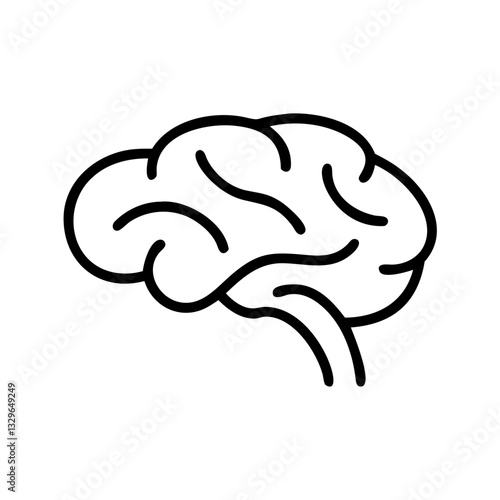 brain
