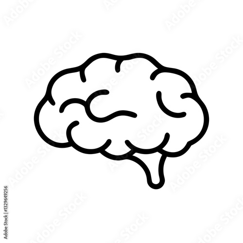 brain