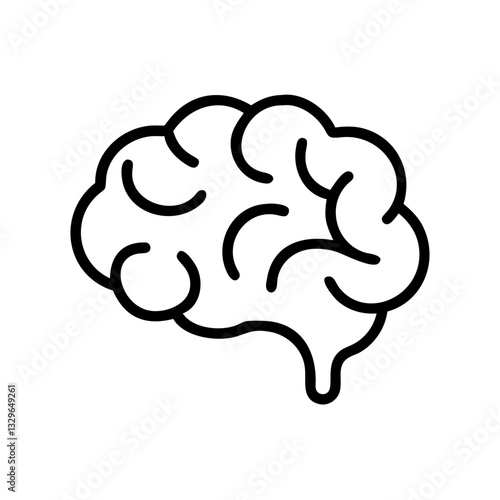 brain