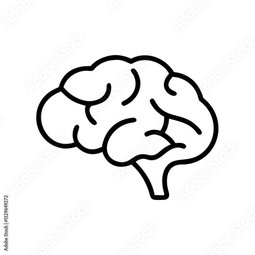 brain