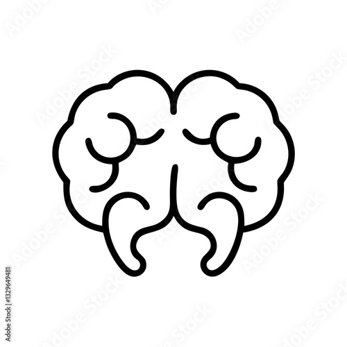 brain