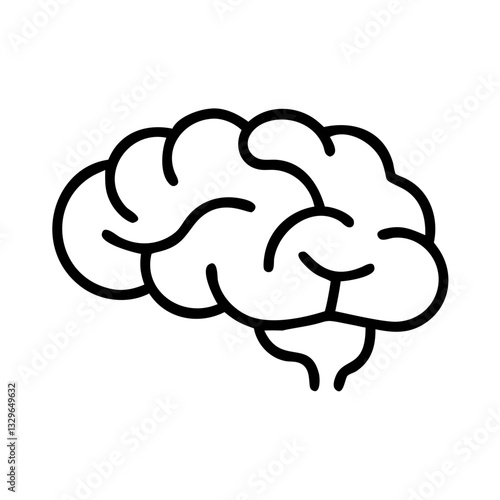 brain