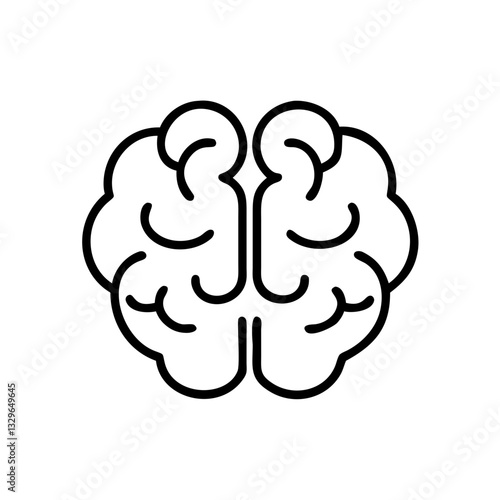 brain
