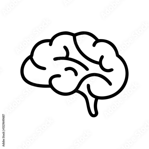 brain