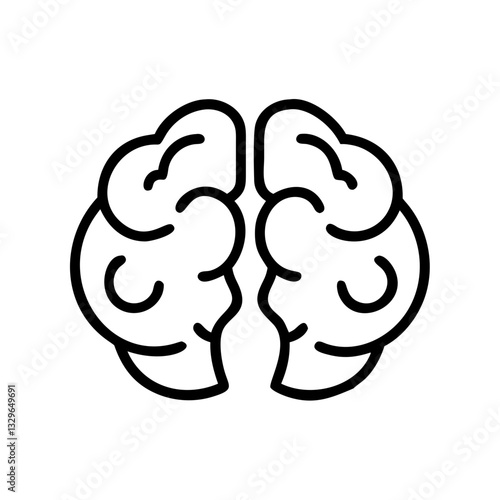 brain