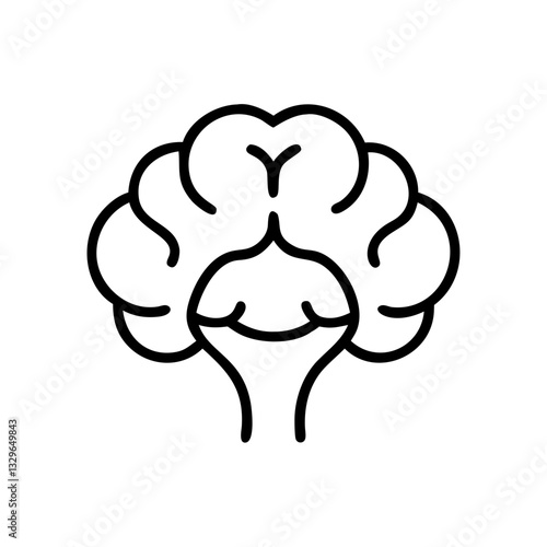brain