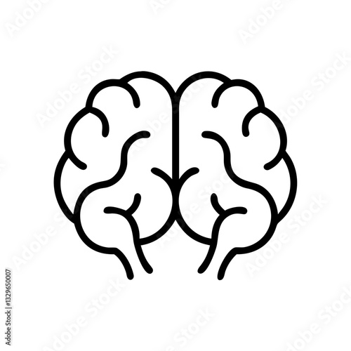 brain