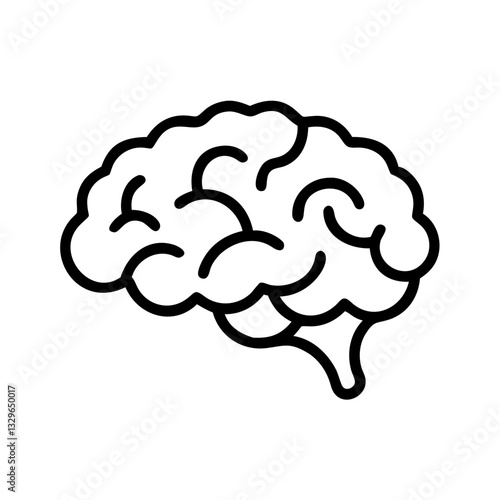 brain
