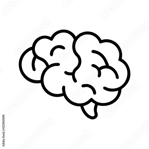 brain