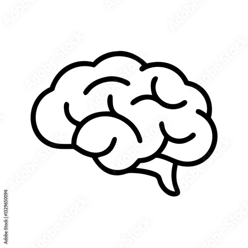 brain