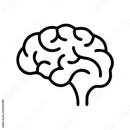 brain