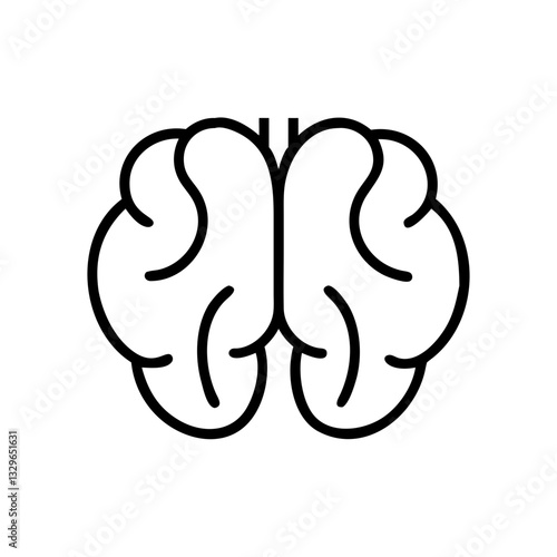brain