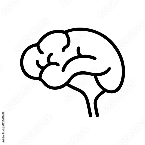 brain
