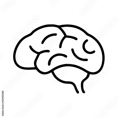 brain