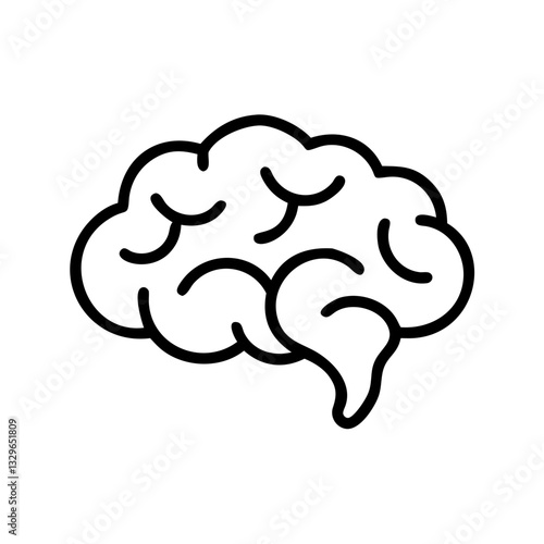 brain