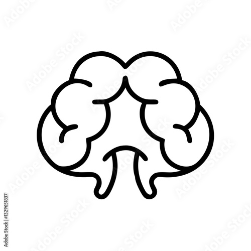 brain