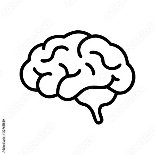 brain