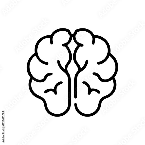 brain