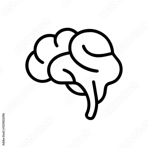 brain