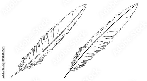 Long Bird Feathers in Outline Style