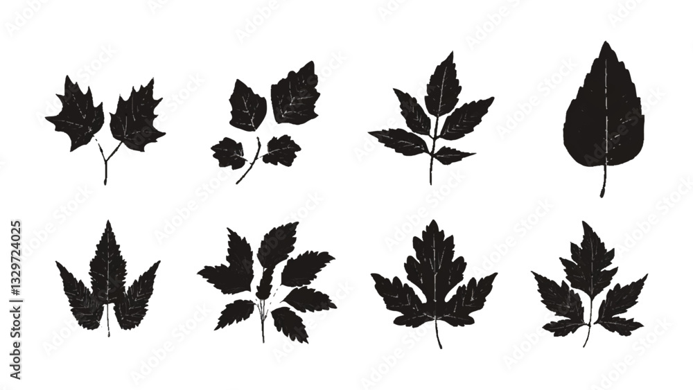 Obraz premium Black different tree leaves isolated on white background. Silhouette different types of leaves by vector design.