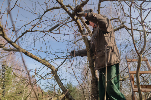  Maintenance work on the plot. Pruning fruit trees in spring. A man trims fruit trees in the orchard  photo