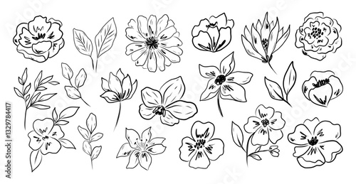 Charcoal  drawing style flower collection.  Ink hand drawn flowers set.
