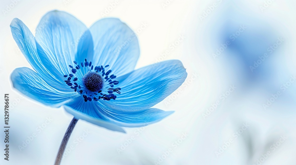 Obraz premium Surreal Blue and Purlpe Shades Flowers in Minimalist Composition, Evoking Tranquility and Natural Elegance