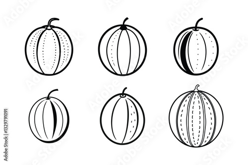 Crenshaw Melon – Cucumis melo var. crenshaw line art vector illustration