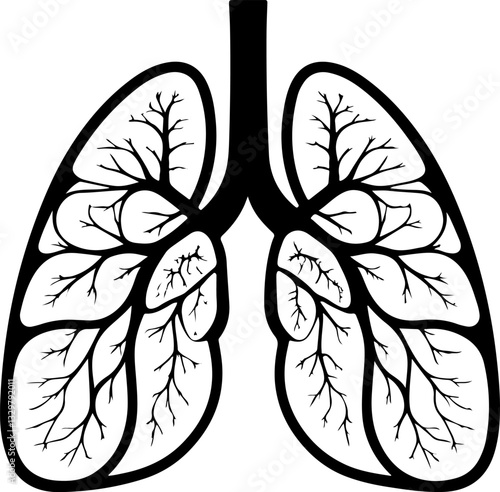 Black and white illustration of human lungs