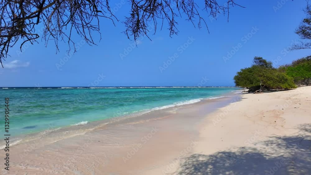 ocean coast with trees on tropical beach, turquoise sea water. Gili island Indonesia. Ideal for relaxation themes, vacation vibes and peaceful escape imagery ocean coast with trees on tropical beach, turquoise sea water. Gili island Indonesia. Ideal for relaxation themes, vacation vibes and peaceful escape imagery