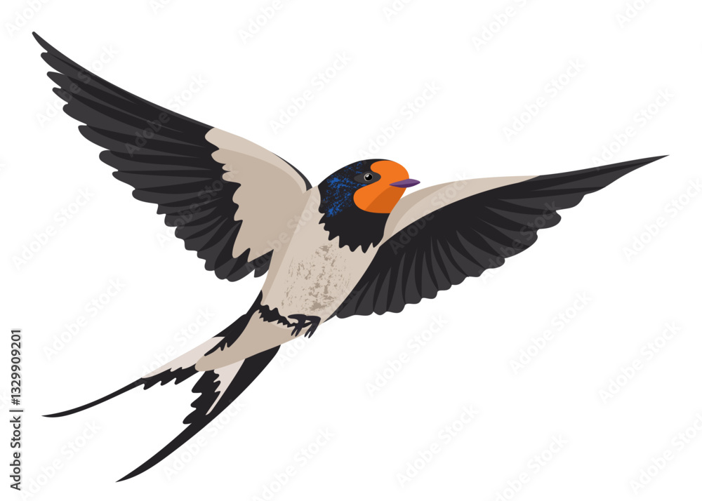 Fototapeta premium Spring bird with bright plumage soaring in the air. Vector isolated texture vector drawing of swallow flying in air. Beautiful color pattern in trendy style. Orange, blue, beige, gray, black color