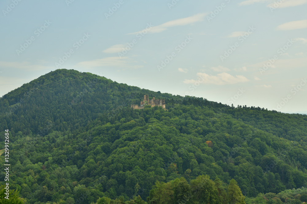 Ruins of Zborov Castle in Slovakia deep in the forest view from above