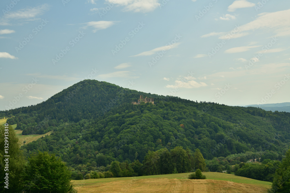 Old Zborov Castle ruins in Slovakia ruins in the green forest in the background