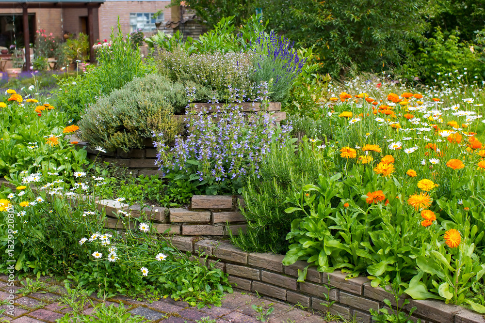 herb spiral in the garden with fresh herbs and flowers