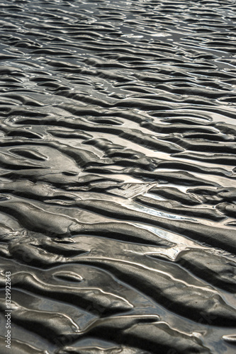Εκτύπωση καμβά Abstract wallpaper of Sand ripples at low tide