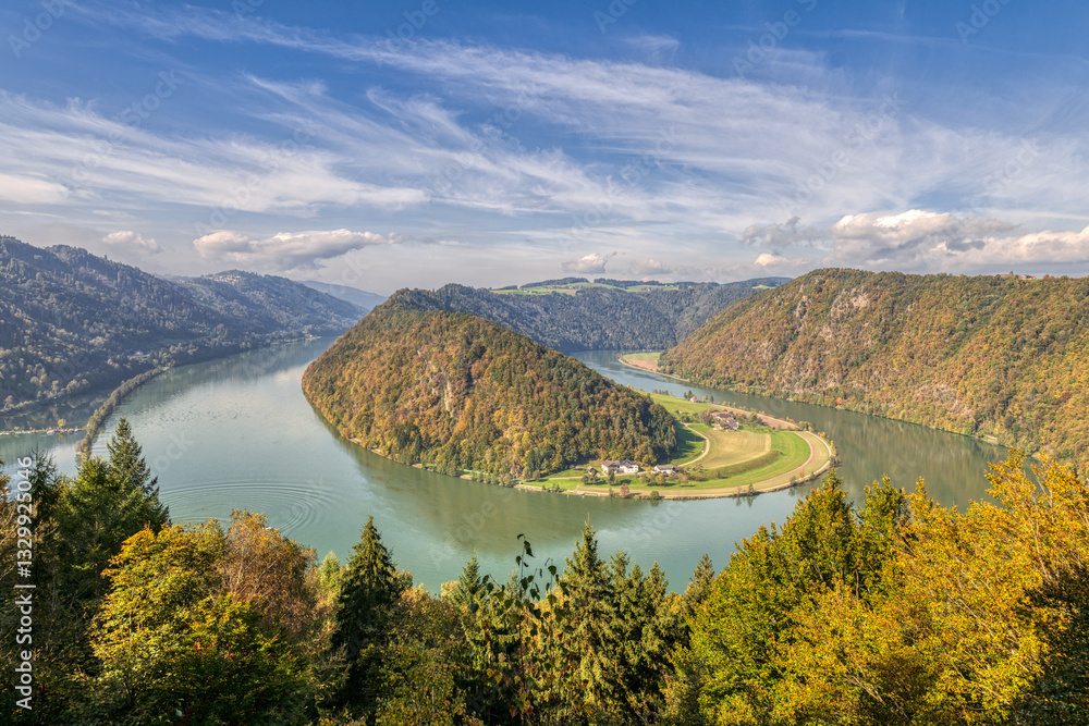 Donauschlinge in Oberösterreich
